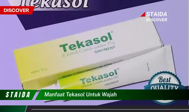 Temukan 7 Manfaat Tekasol untuk Wajah Anda yang Jarang Diketahui