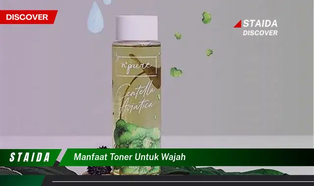 Temukan Rahasia Wajah Sehat dan Bercahaya dengan Toner!