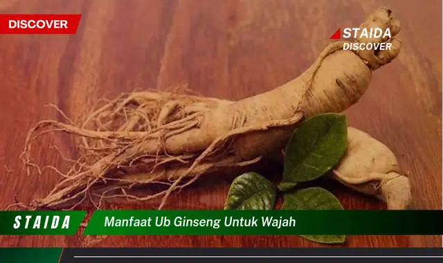 manfaat ub ginseng untuk wajah