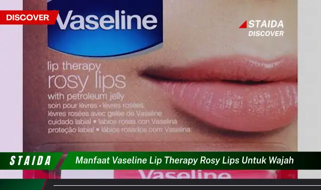 Temukan 7 Manfaat Vaseline Lip Therapy Rosy Lips untuk Wajah yang Jarang Diketahui