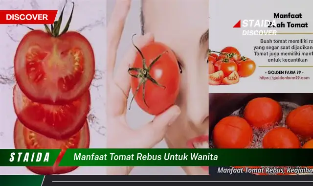 Temukan 7 Manfaat Tomat Rebus buat Wanita yang Jarang Diketahui