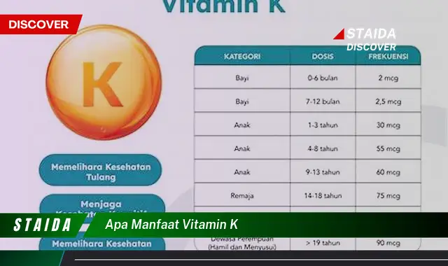 Temukan 7 Manfaat Vitamin K yang Jarang Diketahui