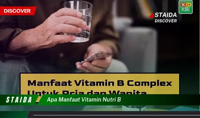 Ungkap Rahasia Manfaat Vitamin Nutri B yang Jarang Diketahui