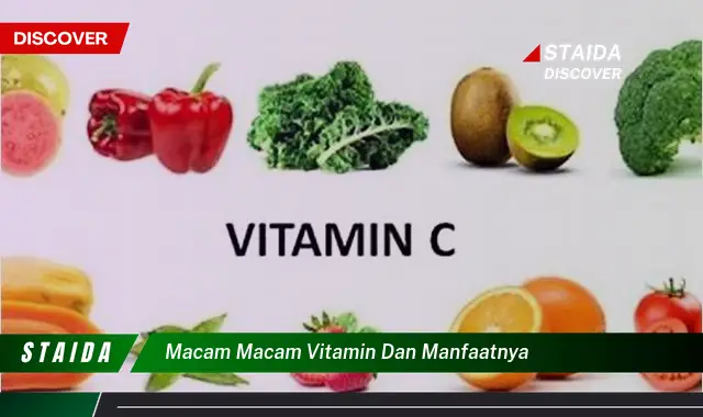 Temukan Manfaat Vitamin yang Jarang Diketahui Untuk Hidup Lebih Sehat