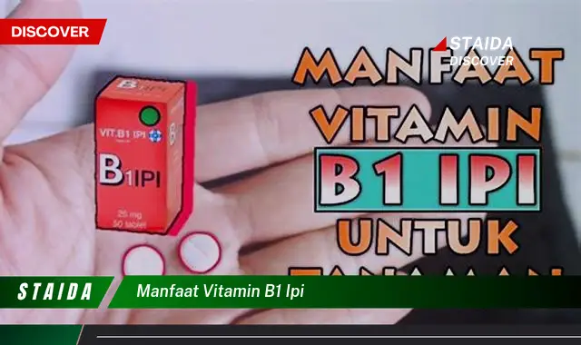 Temukan Segudang Manfaat Vitamin B1 yang Belum Banyak Diketahui