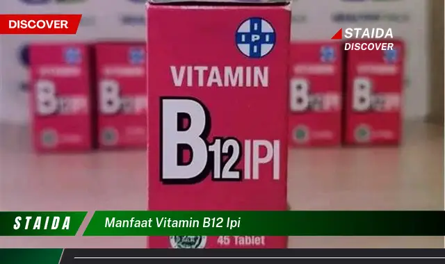 Temukan Manfaat Vitamin B12 yang Jarang Diketahui dan Menakjubkan!