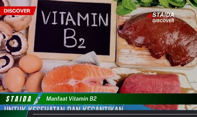 Temukan Manfaat Vitamin B2 yang Jarang Diketahui