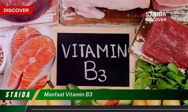 Temukan Manfaat Vitamin B3 yang Jarang Diketahui, Anda Perlu Tahu!