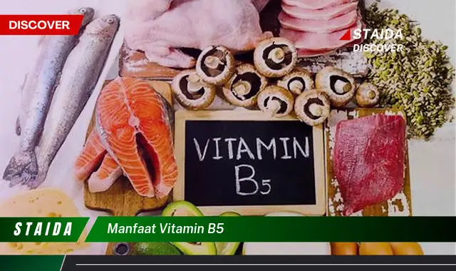 Temukan 7 Manfaat Vitamin B5 yang Jarang Diketahui