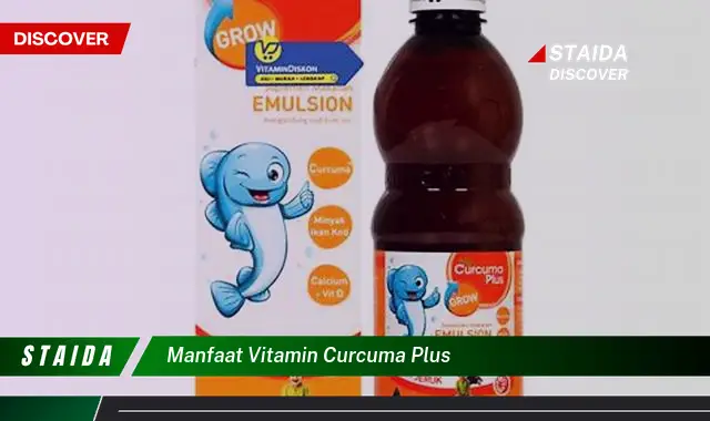 Temukan Manfaat Vitamin Curcuma Plus yang Menakjubkan