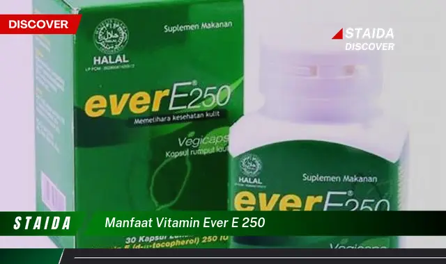 Temukan 7 Manfaat Vitamin E 250 yang Jarang Diketahui