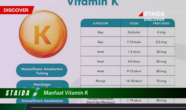 Temukan 7 Manfaat Vitamin K yang Jarang Diketahui, Penting untuk Kesehatan Anda!