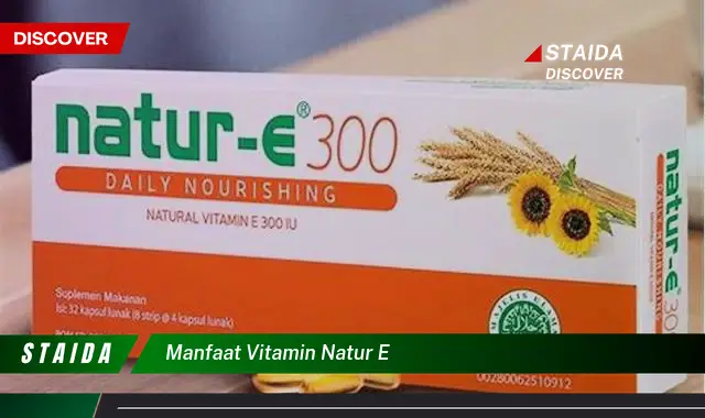 Temukan Manfaat Vitamin E Alami yang Jarang Diketahui