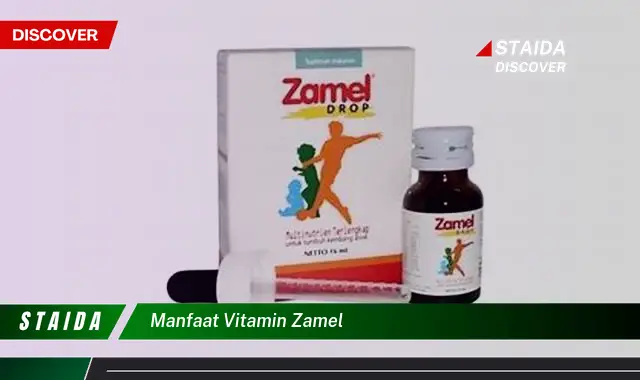 Terungkap Manfaat Vitamin Zamel yang Jarang Diketahui, Wajib Baca!