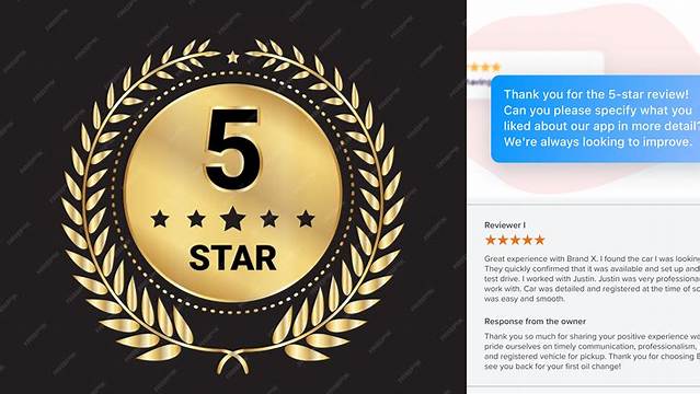 ⭐️⭐️⭐️⭐️⭐️ 5 star review: Great service As cat lovers we can find no