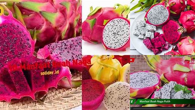 9 Manfaat Buah Naga untuk Kesehatan Tubuh dan Kecantikan Kulit
