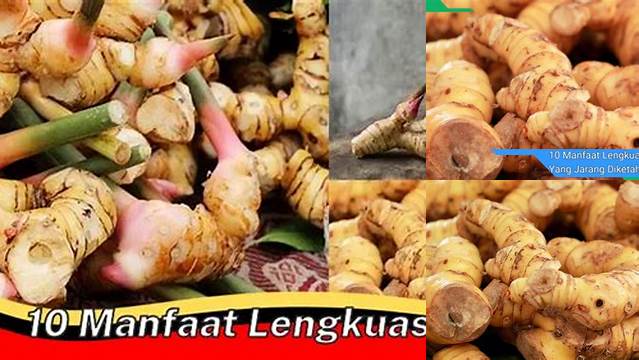 10 Manfaat Lengkuas yang Jarang Diketahui