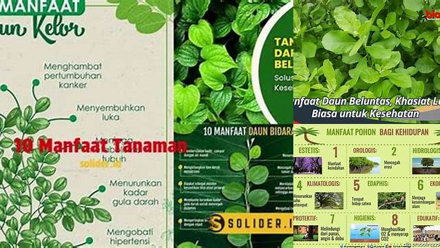10 Manfaat Tanaman yang Wajib Anda Tahu
