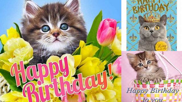 1465 best "MEOWY" Birthday! images on Pinterest in 2018 | Appliques