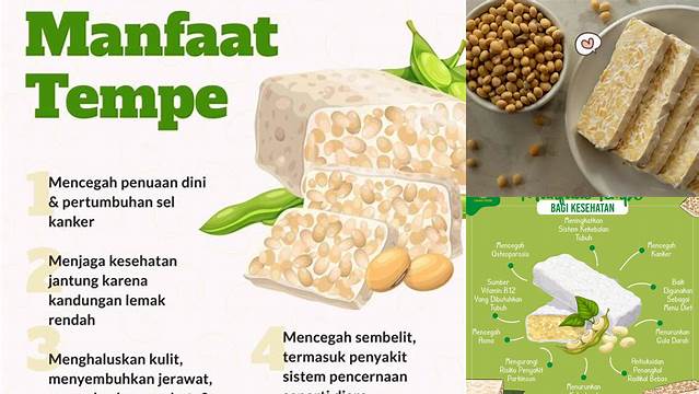 Temukan 15 Manfaat Tempe yang Jarang Diketahui