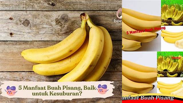 9 Manfaat 5 manfaat buah pisang untuk kesehatan jantung dan pencernaan Anda