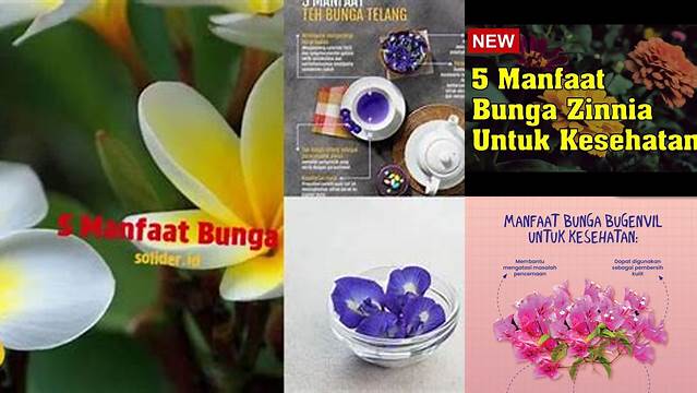 5 Manfaat Bunga yang Jarang Diketahui, Wajib Kamu Tahu!