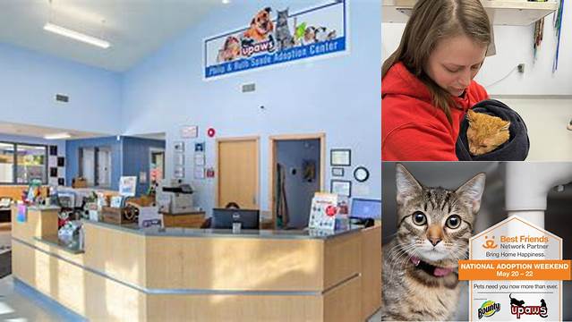 Adoption Programs - Upper Peninsula Animal Welfare Shelter