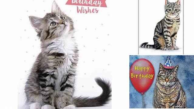Animal Birthday Card - Tabby Cat 'Birthday Wishes'