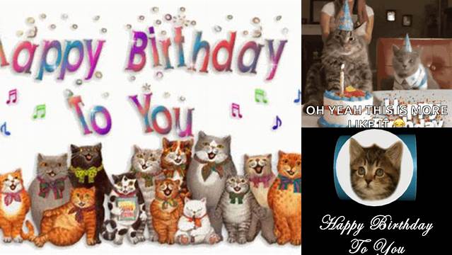Animated Cat Singing Happy Birthday GIFs | Tenor