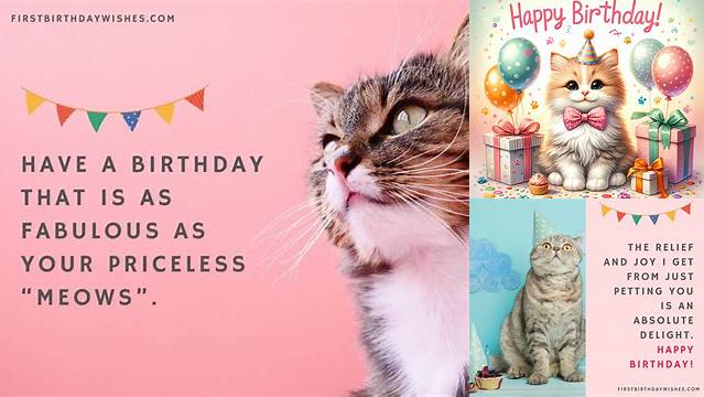 Best 200+ Birthday Wishes for Cat | Happy Birthday, Kitty!