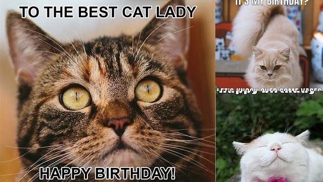 Best Happy Birthday Cat Meme