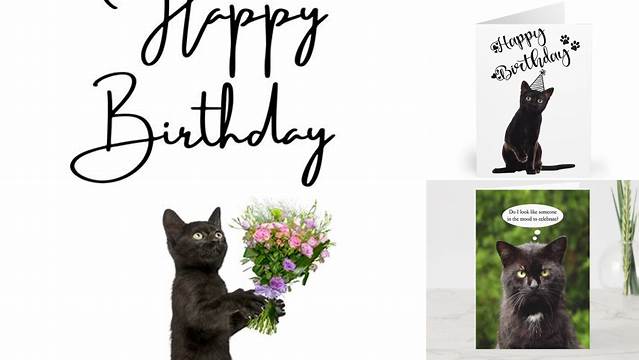 Black Cat Birthday Postcards | Zazzle