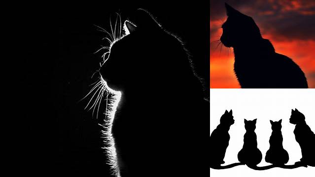 Cat Silhouette Wallpaper - WallpaperSafari