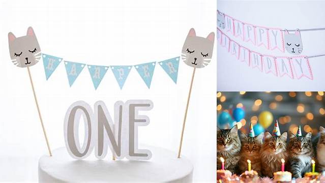 Cats 1st birthday | Cat birthday, Funny cat pictures, Cute animals