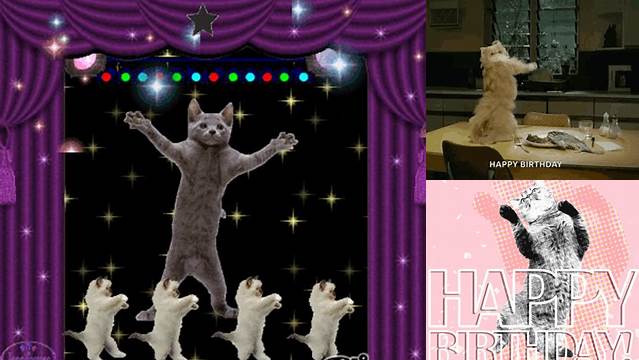 Dancing Kitty Happy Birthday Cats Gif - Foto Kolekcija