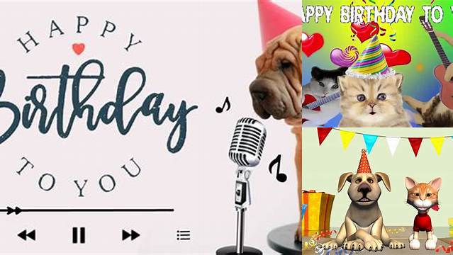 Funny Happy Birthday Song. Cat and Dog sing Happy Birthday To You - YouTube