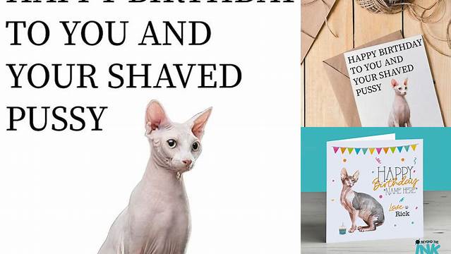 Funny Sphynx Hairless Cat Birthday Card Perfect for Cat - Etsy UK