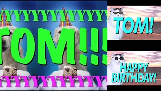 HAPPY BIRTHDAY TOM! - EPIC CAT Happy Birthday Song - YouTube