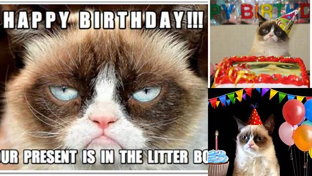 Happy Birthday, Grumpy Cat! (PICTURES)