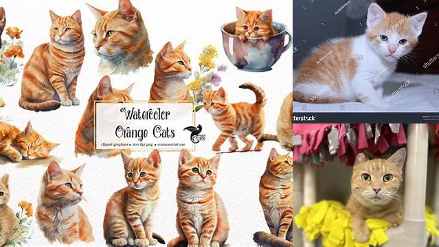 Happy Birthday, Orange Tabby Kitten in Bed Card | Zazzle.com | Tabby