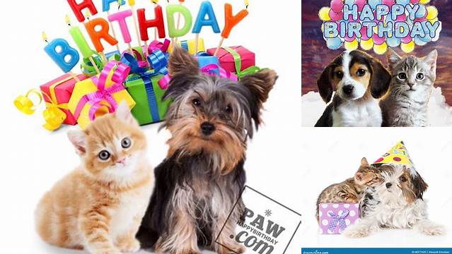 Happy Birthday - Puppy and Kitten Picture #124439678 | Blingee.com