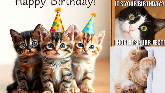 Happy Birthday Card With Cats - Cat Meme Stock Pictures and Photos