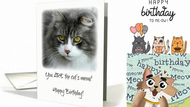 Happy Birthday Cat's Meow Gray & White Cat card (1429760)