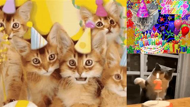 Happy Birthday Cat GIF - HappyBirthday Cat Kittens - Discover & Share GIFs