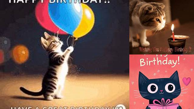 Happy Birthday Cat GIFs - Find & Share on GIPHY