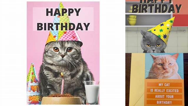 Happy Birthday Cat Greeting Card Cute Grey Grumpy Cat - Etsy UK