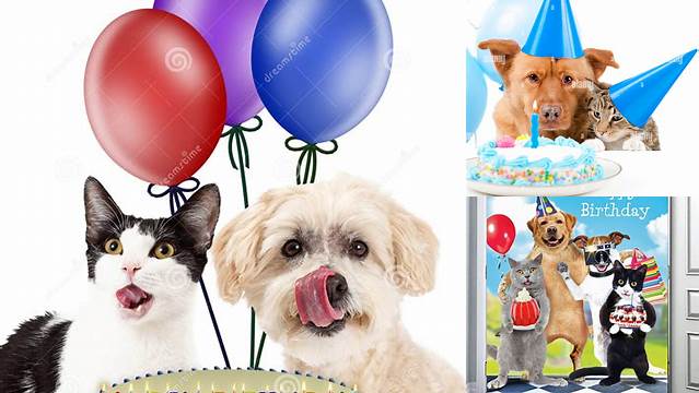 Happy Birthday Dog And Cat Images