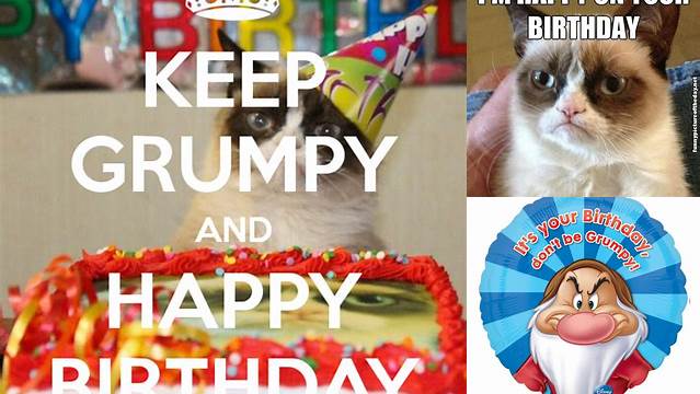 Happy Birthday Funny Grumpy Quotes. QuotesGram