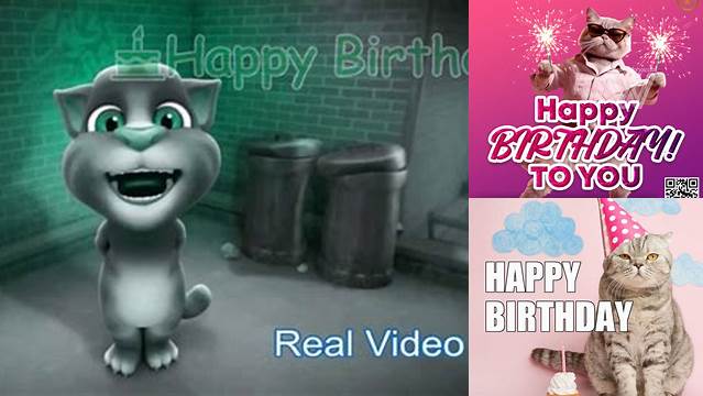 Happy Birthday Funny Tom Cat Song | Happy birthday funny, Birthday