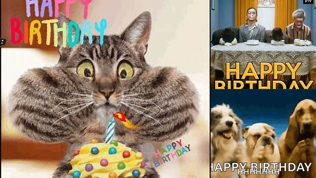 Happy Birthday Gif Images, Happy Birthday Funny Humorous, Birthday